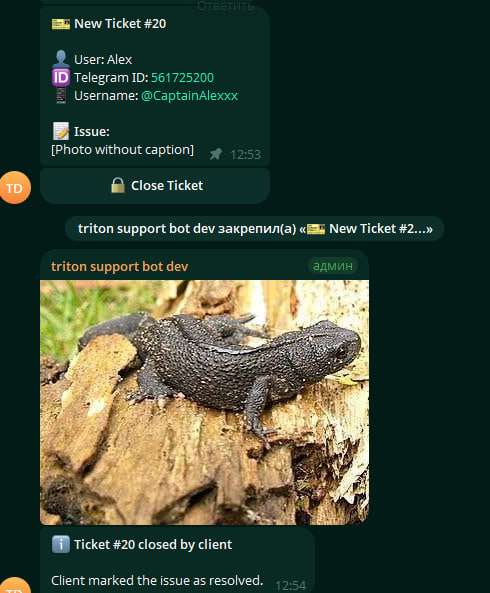 Ticket card in the operator group and the closing confirmation